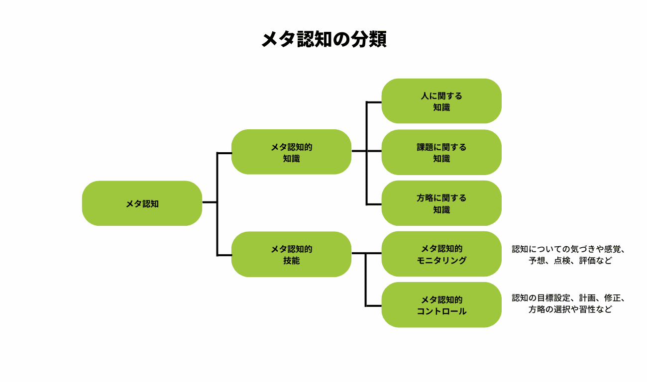 メタ認知の分類 (1)